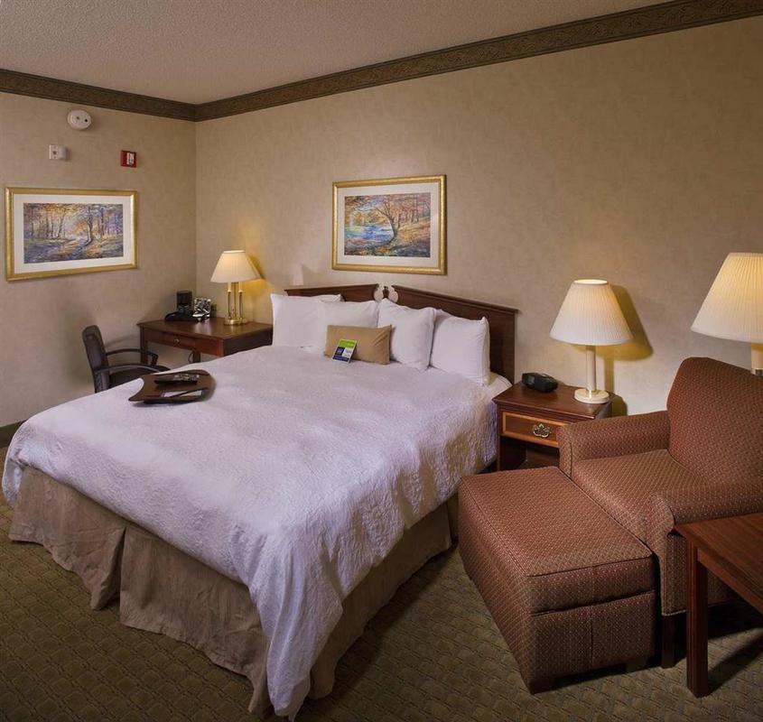 Hampton Inn And Suites Asheville Airport Fletcher Værelse billede